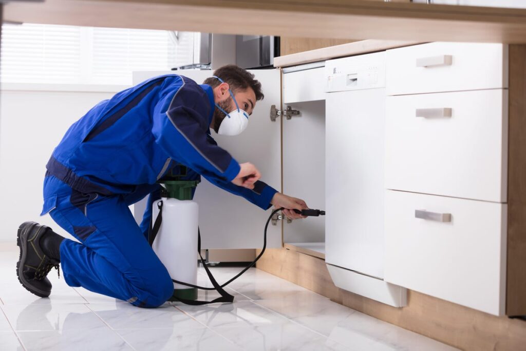 In Idaho, a Reliable Pest Control Company is Within Reach